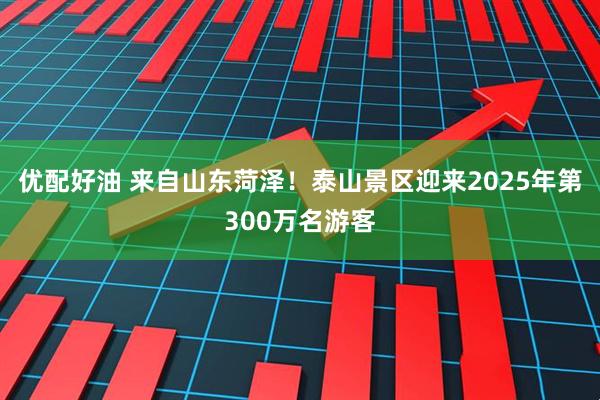 优配好油 来自山东菏泽！泰山景区迎来2025年第300万名游客