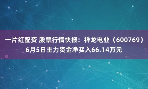 一片红配资 股票行情快报：祥龙电业（600769）6月5日主力资金净买入66.14万元