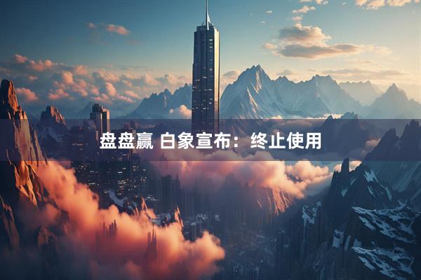 盘盘赢 白象宣布：终止使用