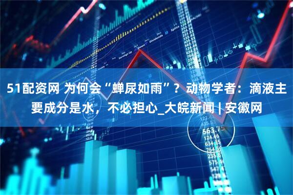 51配资网 为何会“蝉尿如雨”？动物学者：滴液主要成分是水，不必担心_大皖新闻 | 安徽网