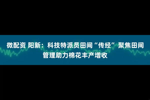 微配资 阳新：科技特派员田间“传经” 聚焦田间管理助力棉花丰产增收