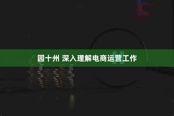 园十州 深入理解电商运营工作