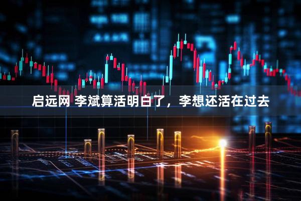 启远网 李斌算活明白了，李想还活在过去