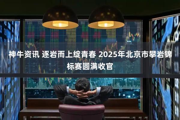 神牛资讯 逐岩而上绽青春 2025年北京市攀岩锦标赛圆满收官