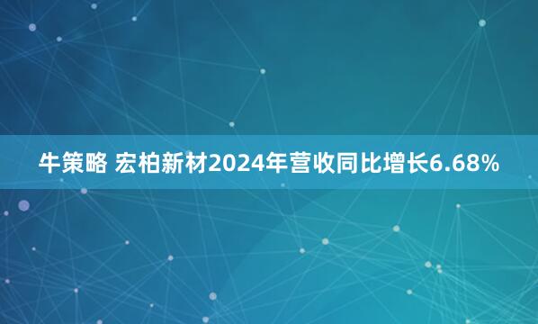 牛策略 宏柏新材2024年营收同比增长6.68%